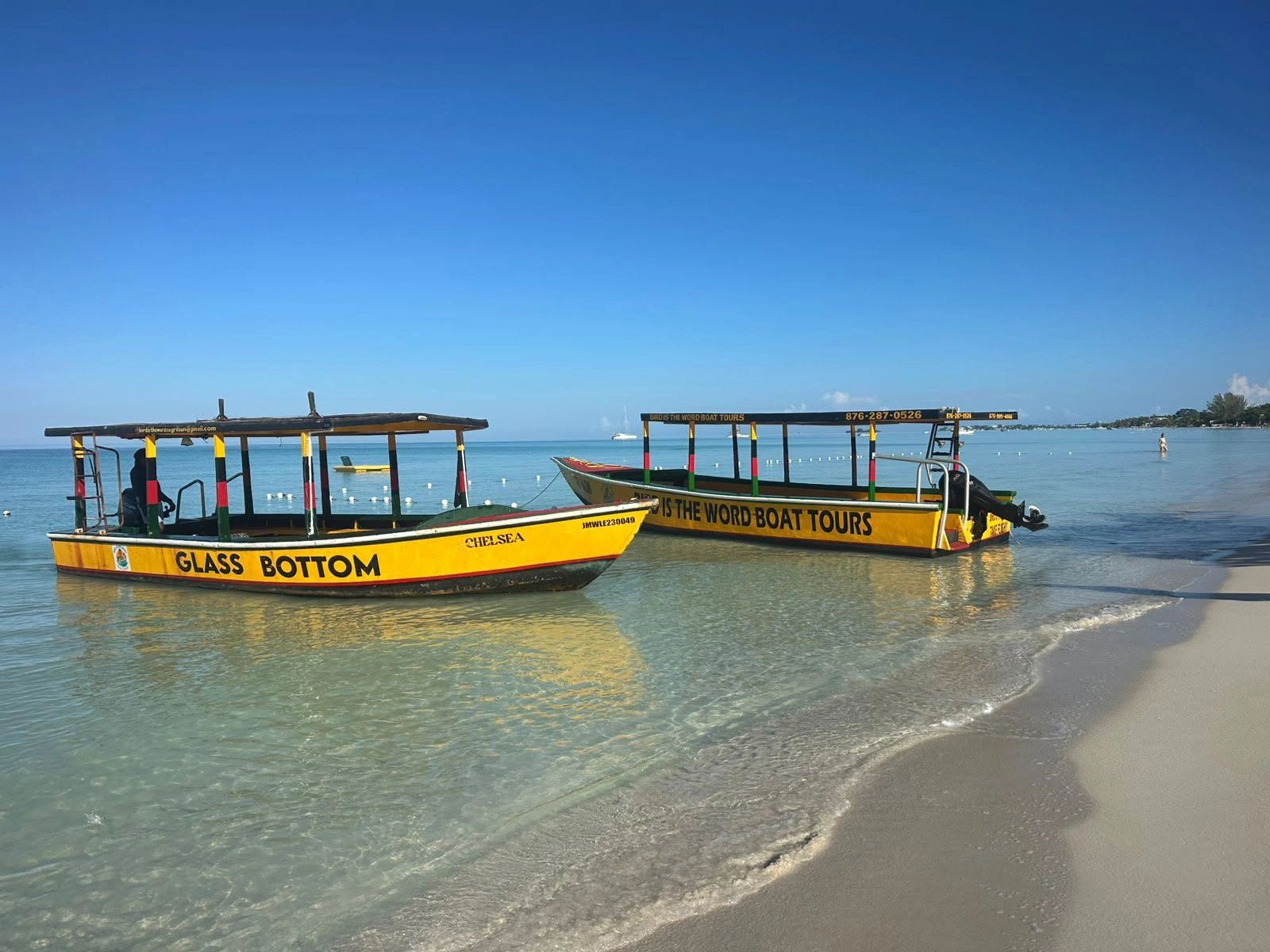 Bird is the Word Boat